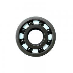 6013 Ceramic Bearings